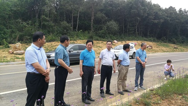 实地察看殷涧镇境内风景道建设情况.jpg