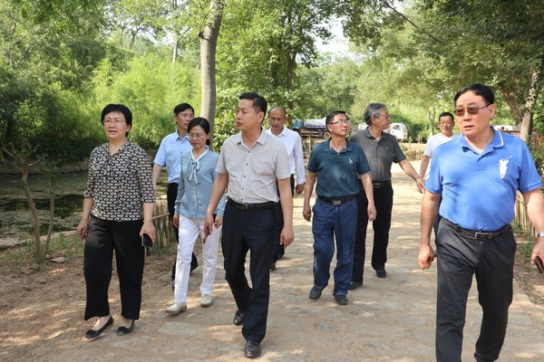 在吴窑村调研古村落道路建设情况.JPG