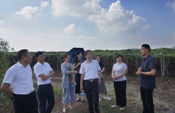 杜传来副主席与委员们在瓜蒌基地了解种植情况.jpg