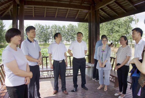 杜传来副主席与委员们在官塘淮安村了解美丽乡村建设.jpg
